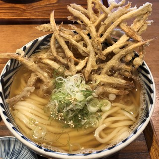 増田うどん