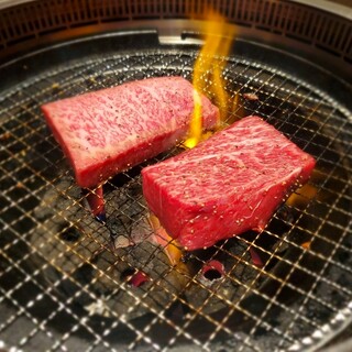 ホルモンショウヤ