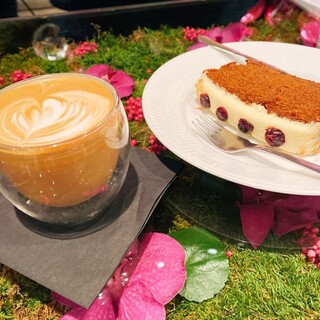 Nicolai Bergmann NOMU