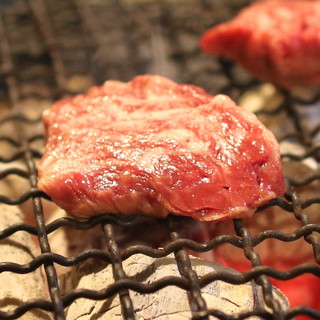 ホルモン船　ホールちゃん