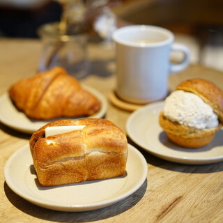 セテュヌ ボンニデー