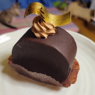 レ・カカオ 本店