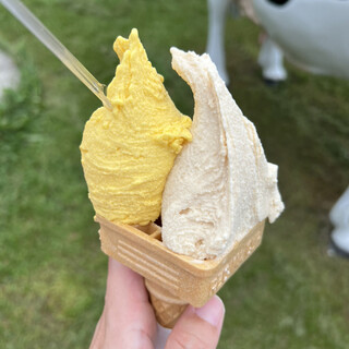 ウエモンズ ハート