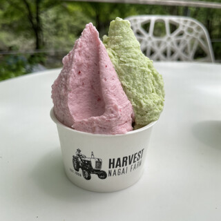 ハーベスト ナガイファーム 軽井沢店