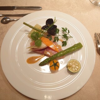 レスタジオーニ ハングリータイガー