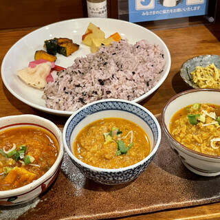 初台スパイス食堂 和魂印才たんどーる