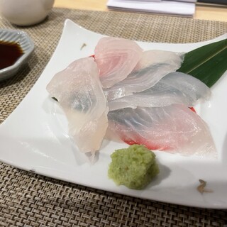 路地裏酒場タチノミ ゴンポジ